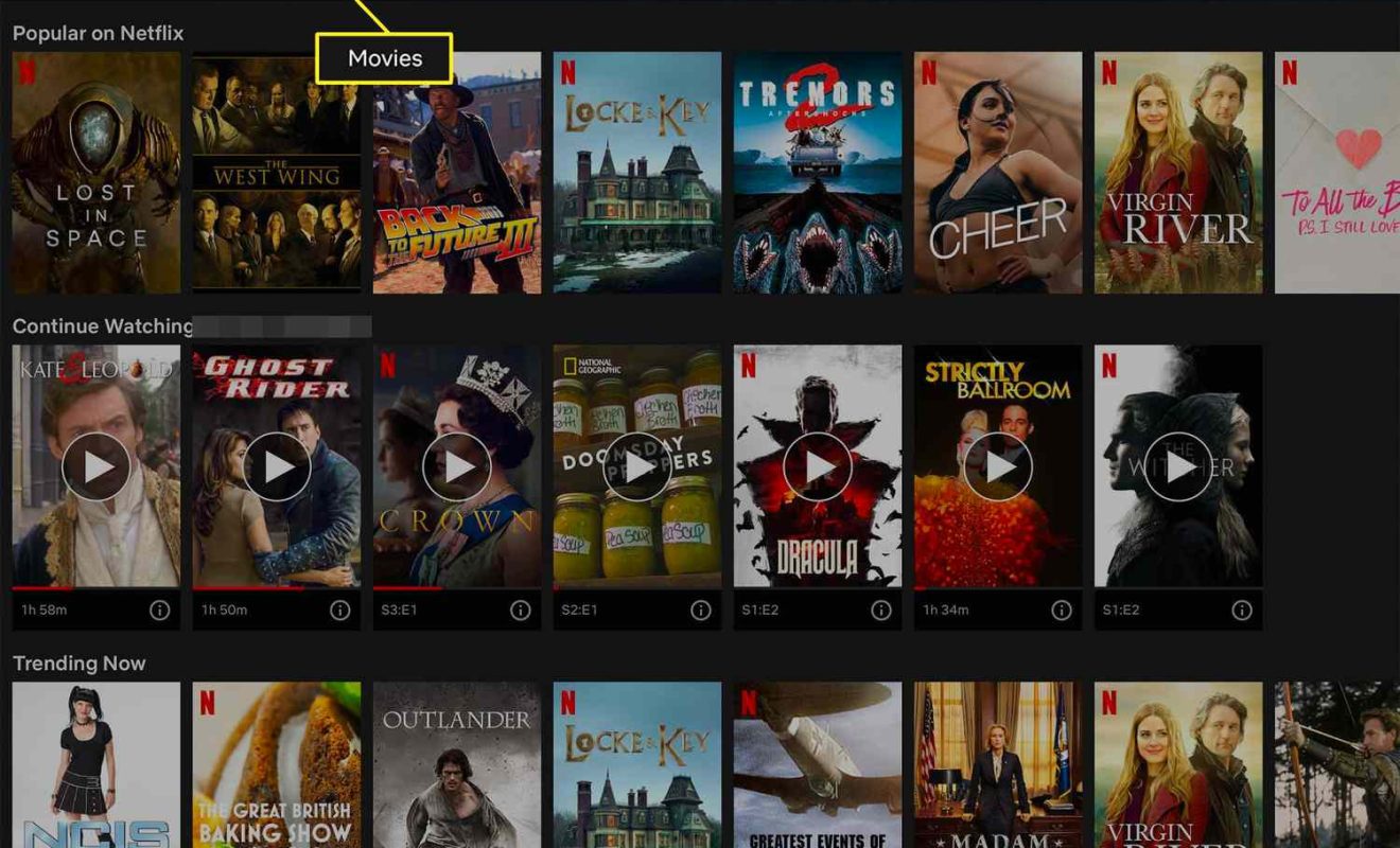 Fix Netflix Error Code ui-113 