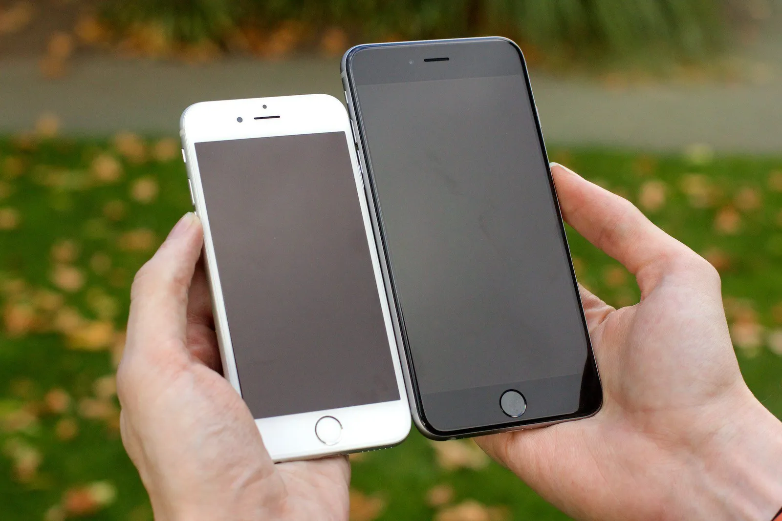 All the Hardware Features of iPhone 6 and iPhone 6 Plus Explained The
