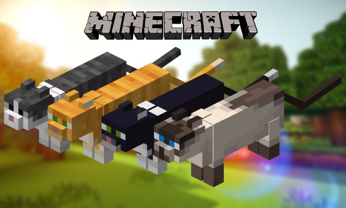 How to Tame a Cat in Minecraft - The Tech Edvocate