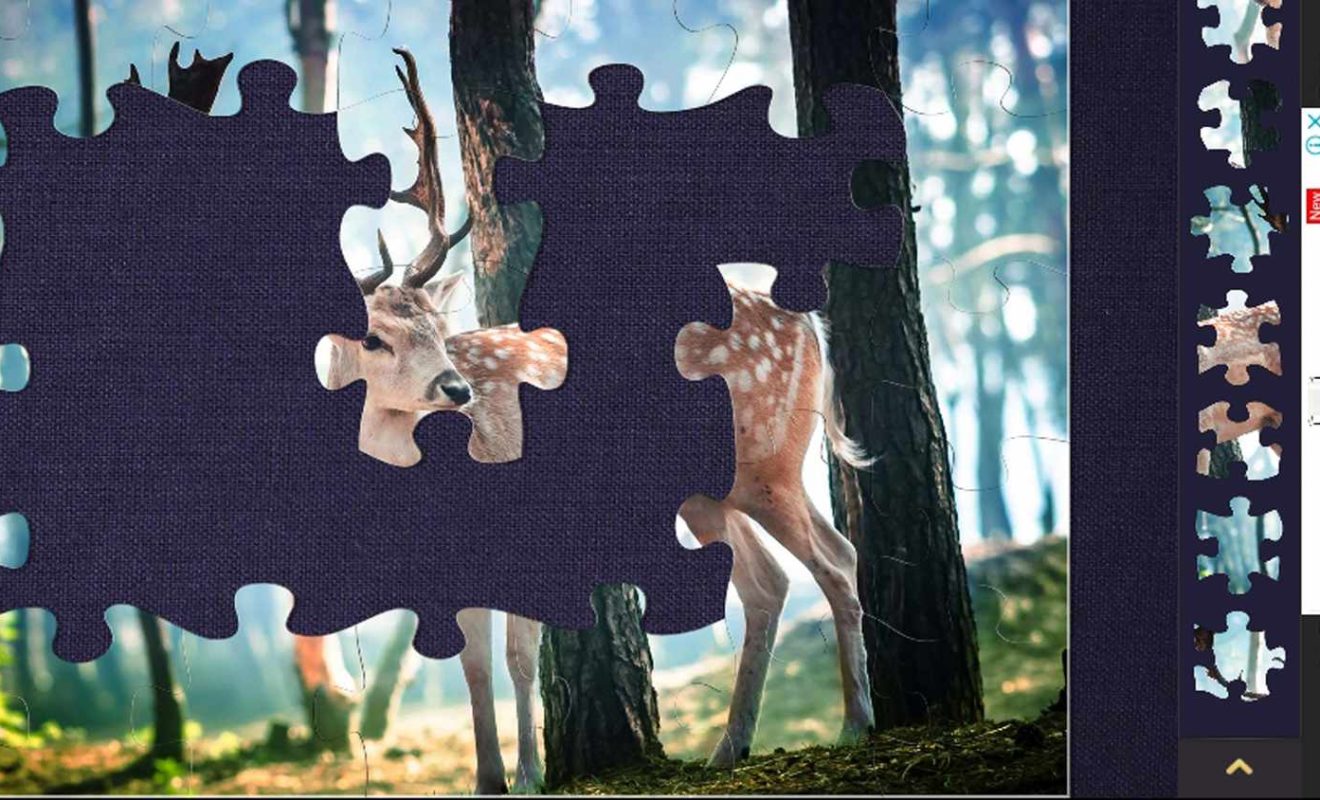 The jigsaw puzzles free online deals