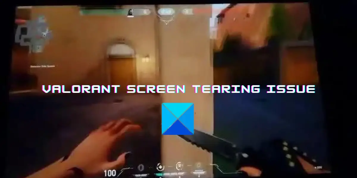 Valorant freesync 2025