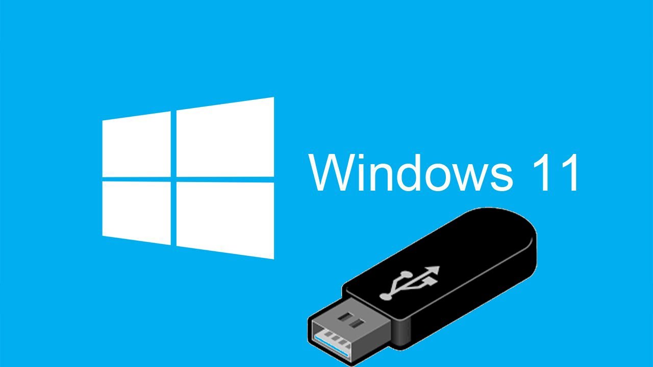 Allergi bjerg Savvy Ways to Create a Windows 11 Bootable USB Drive - The Tech Edvocate
