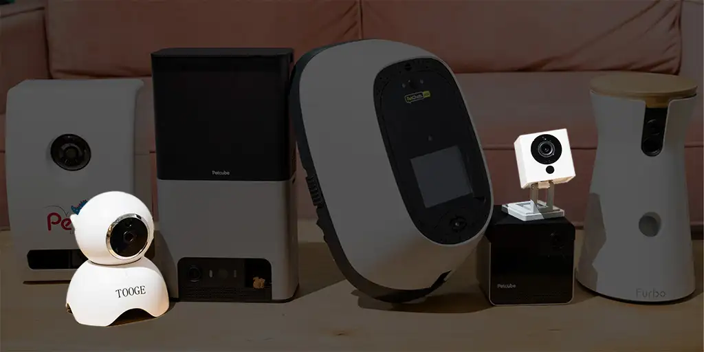 TOOGE Pet Camera Review - The Tech Edvocate
