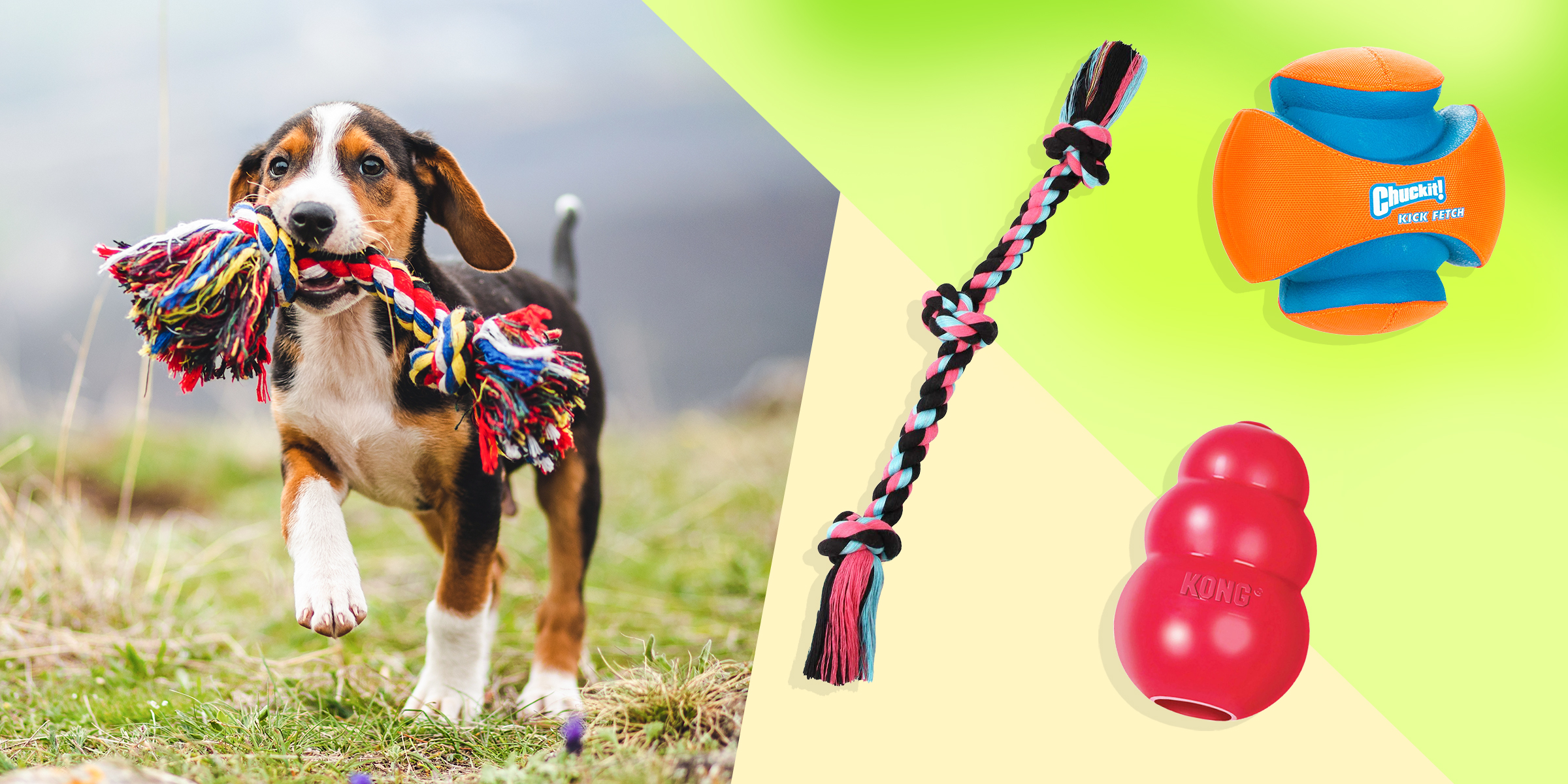 How to Buy a Good Dog Toy, According to the Experts