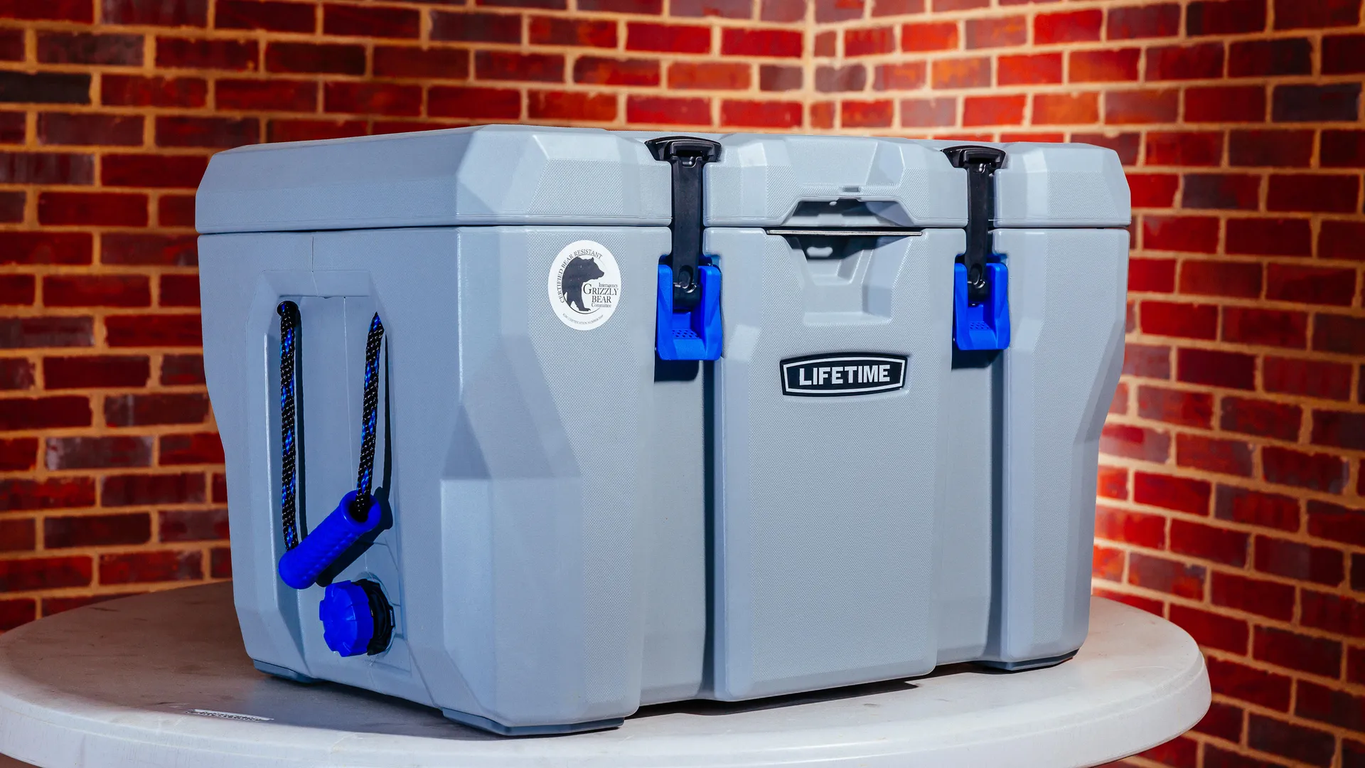 Lifetime 55quart High Performance Cooler review Great alternative to