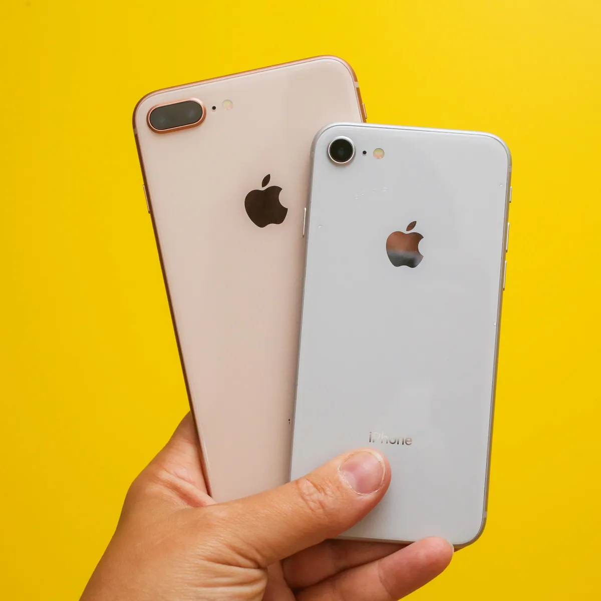 iphone 8 plus vs se 2016
