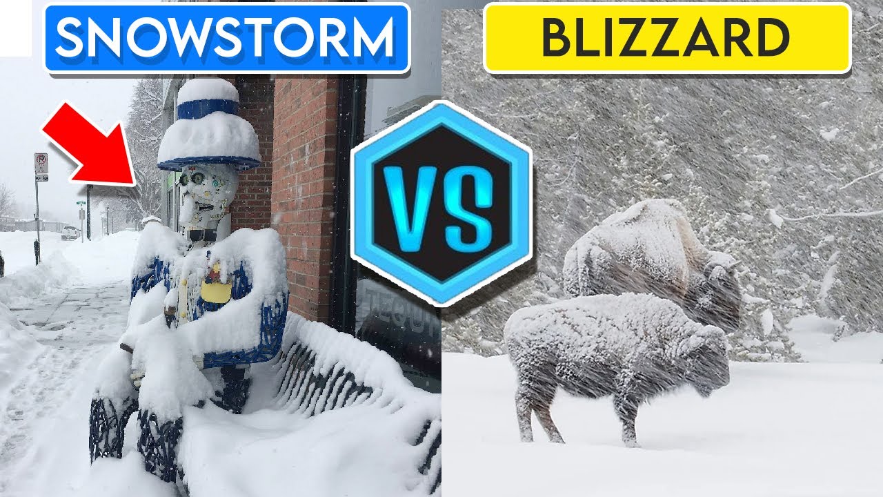 Is It a Blizzard or a Snowstorm? Here Are the Differences The Tech Edvocate