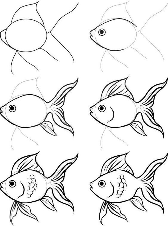 How to Draw Fish: Easy Step-by-Step Fish Drawing [With Video]-saigonsouth.com.vn