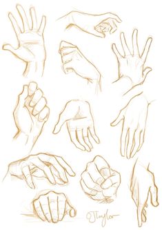 How to Draw Anime Hands: 12 Steps (with Pictures) - wikiHow