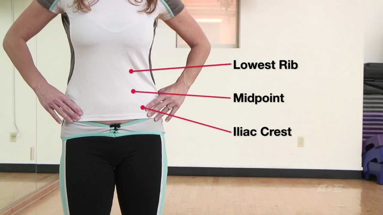How to calculate waist to hip ratio - The Tech Edvocate