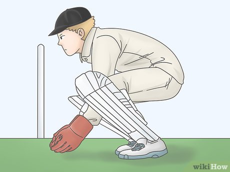 3 Ways to Be a Good Wicketkeeper - The Tech Edvocate