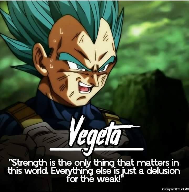 10 Best Vegeta Quotes From Dragon Ball Super - The Tech Edvocate
