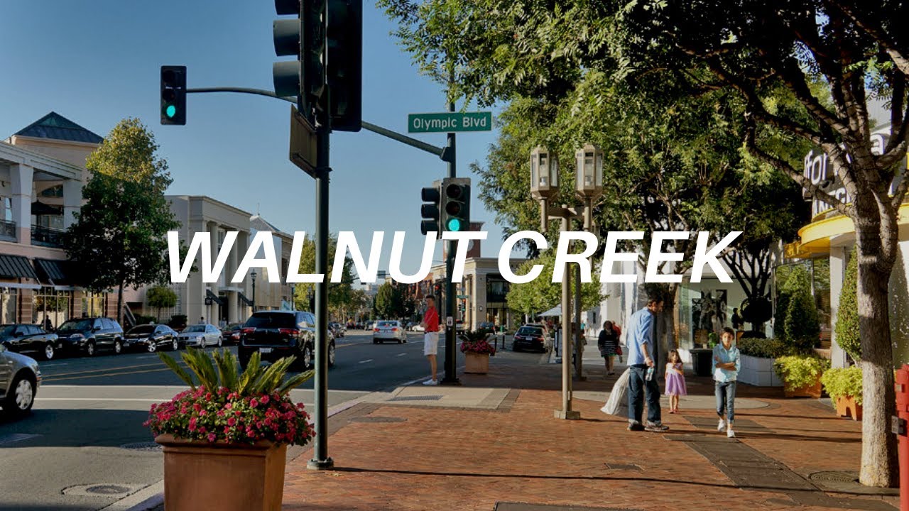 micael stead of walnut creek ca net worth